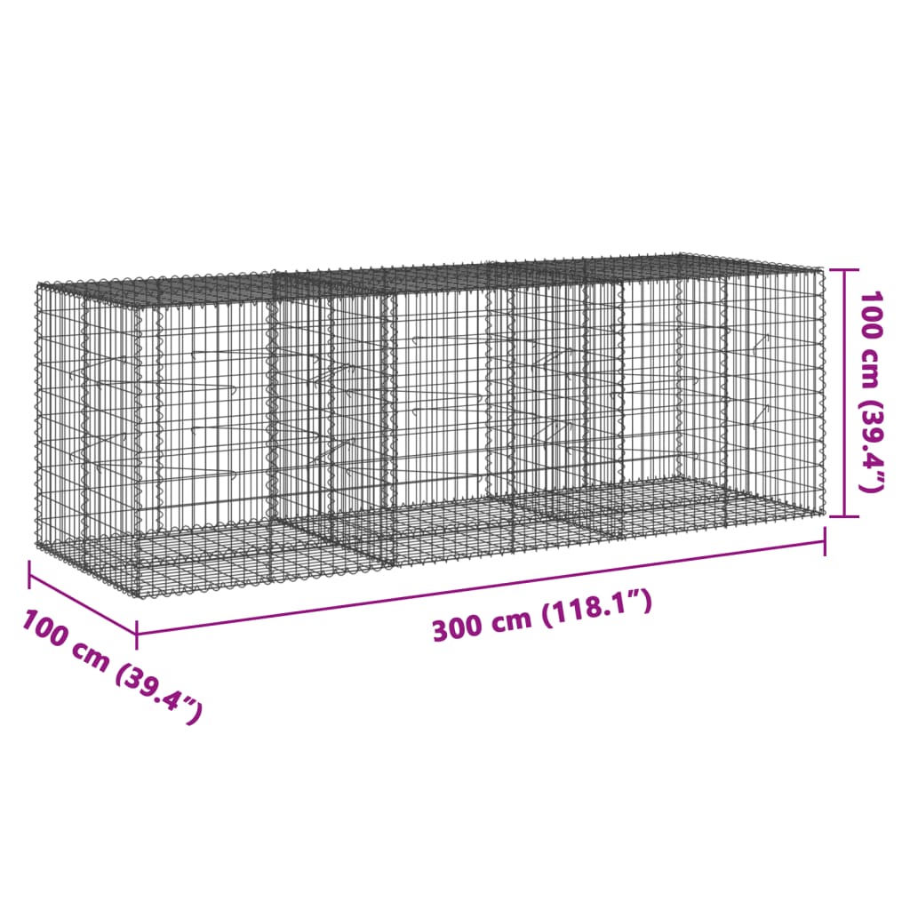 vidaXL horganyzott vas gabion kosár fedéllel 300 x 100 x 100 cm